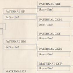 Family Tree Template Finder: Free Printable Charts for Genealogy Family Tree Template Finder: Free Printable Charts for Genealogy