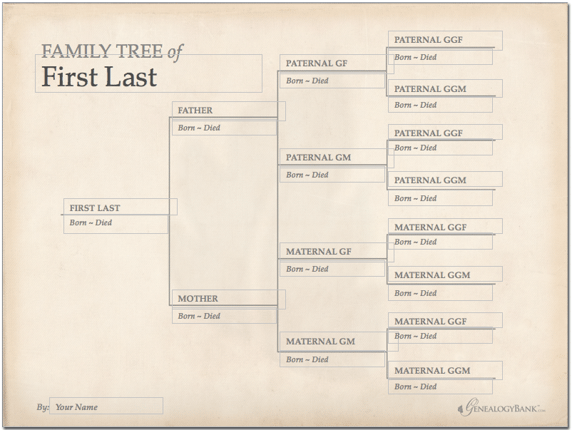 family tree template genealogy bank