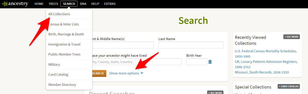 Ancestry Search Box with Options