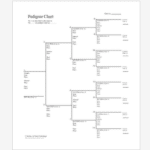 Pedigree Charts: How to Use Them