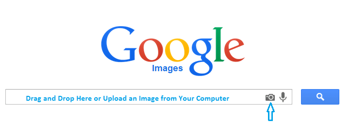 upload an image to google search