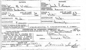 38b Big Sister - Birth Certificate - Robert - 1923 (2)