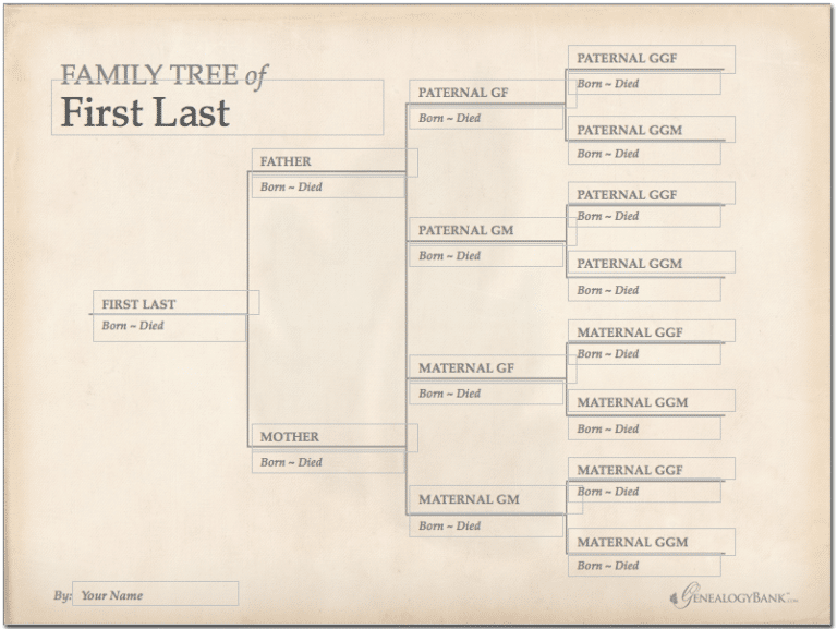 Family Tree Template Finder: Free Printable Charts for Genealogy