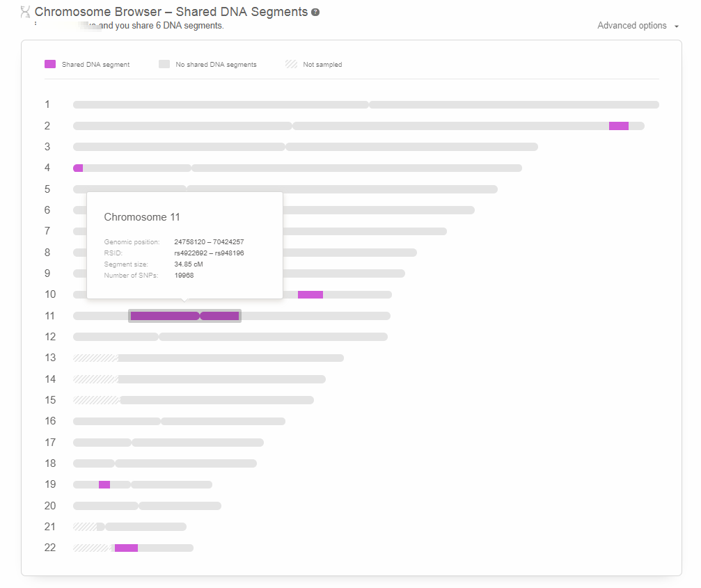MyHeritage DNA Match Chromosome Browser