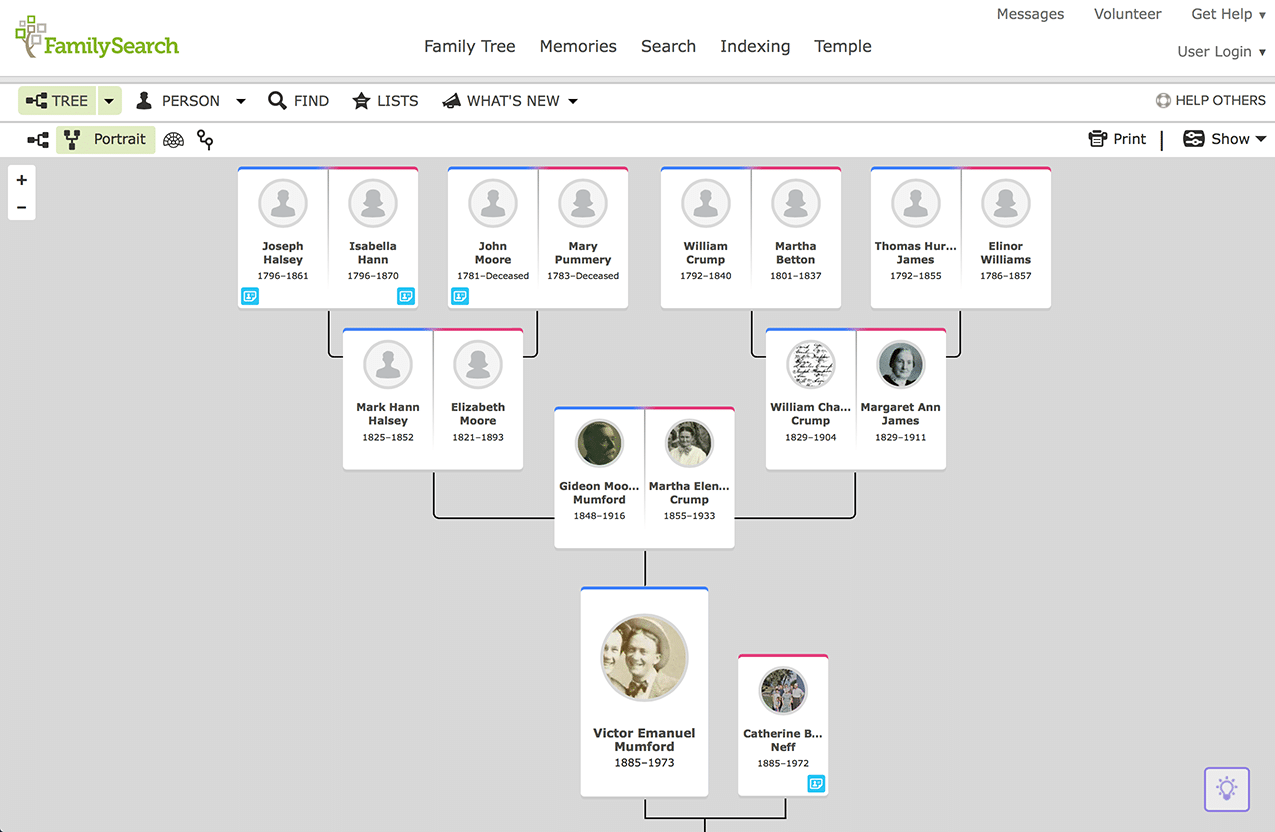 FamilySearch Tree Family View