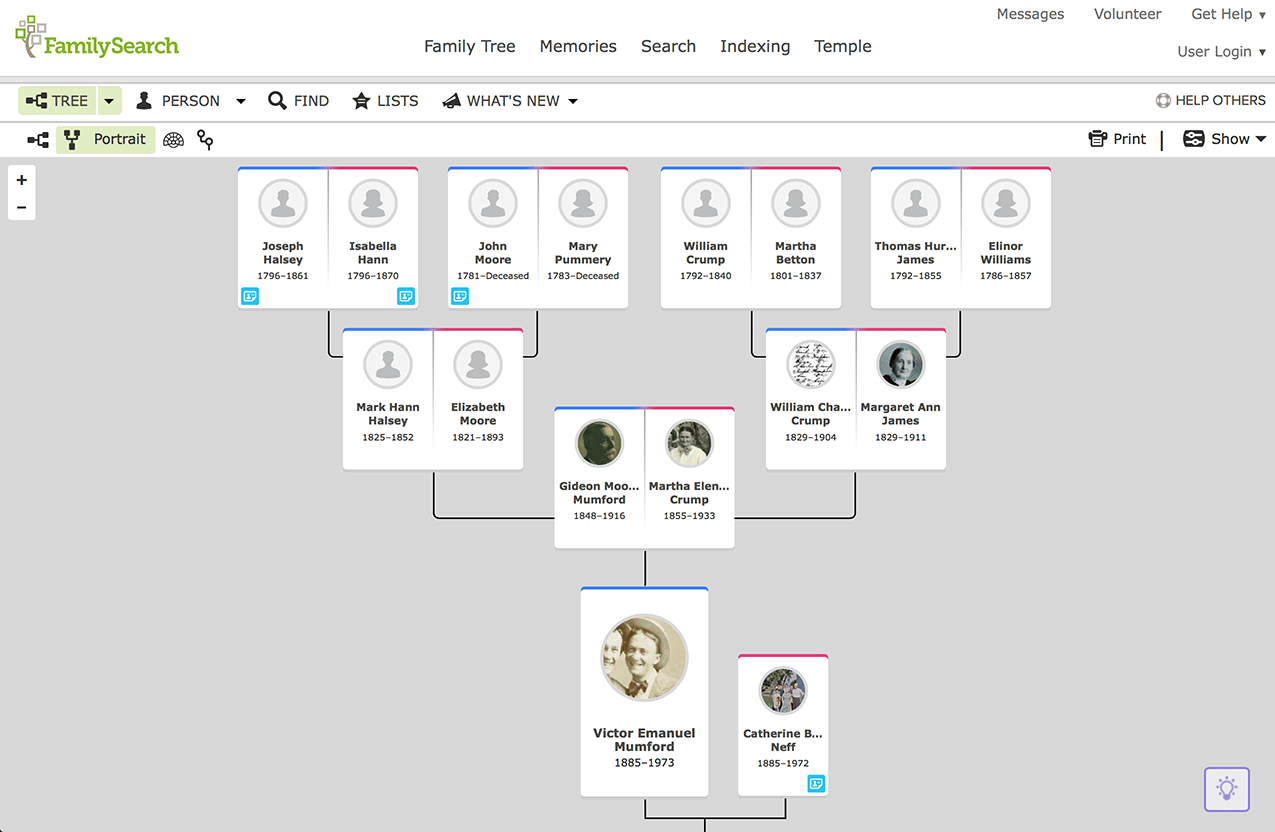 free family tree software to upload my file