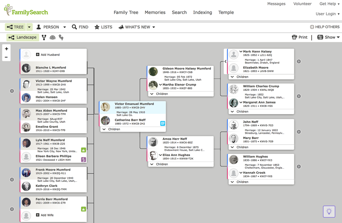 the best free family tree software