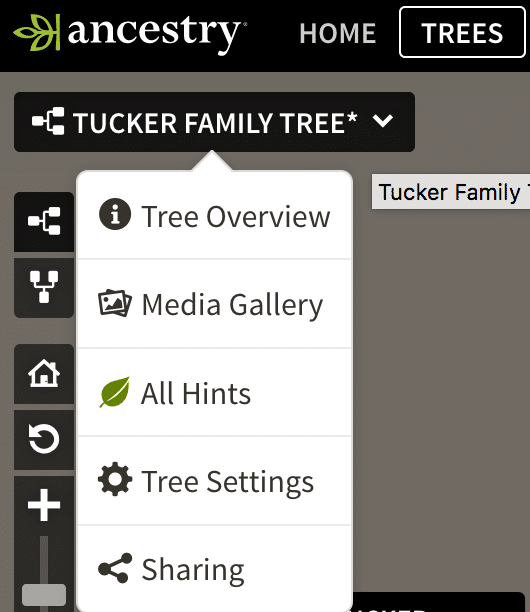 How to move your family tree, GEDCOM, ancestry family tree