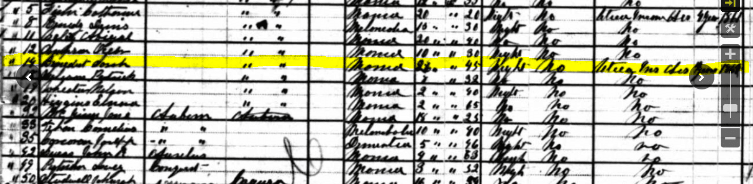 1880 DDD Schedule Benedict Insane