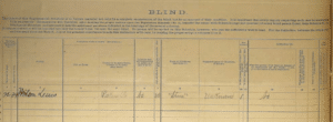 The Curious 1880 Census Of Defective, Dependent, And Delinquent Classes