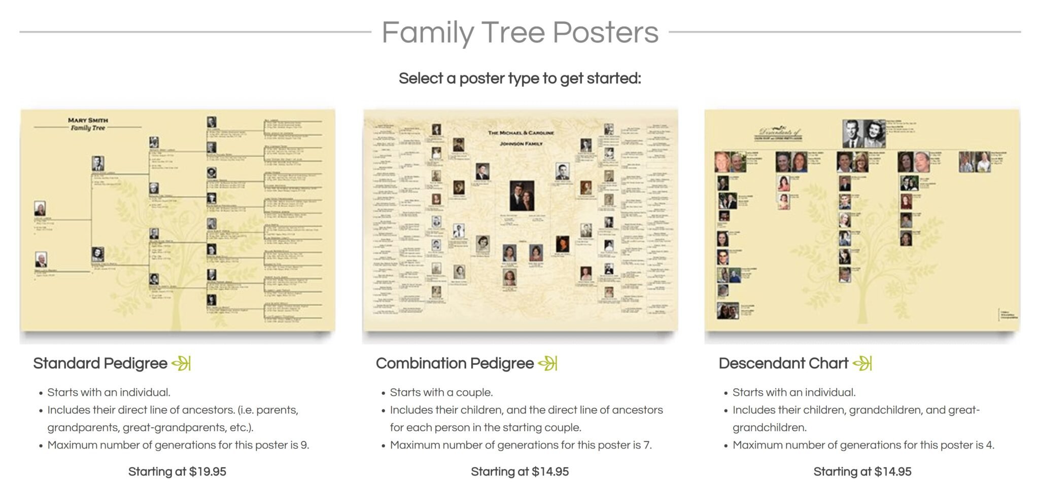 Order Family Tree Chart