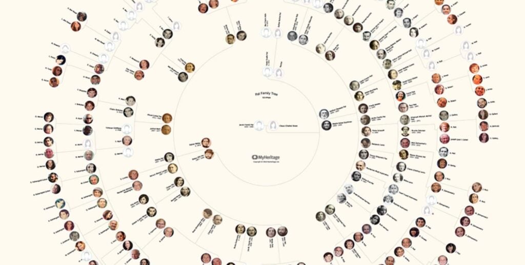 Turn Your Family Tree Into Beautiful Family Tree Charts in Just a Few Clicks