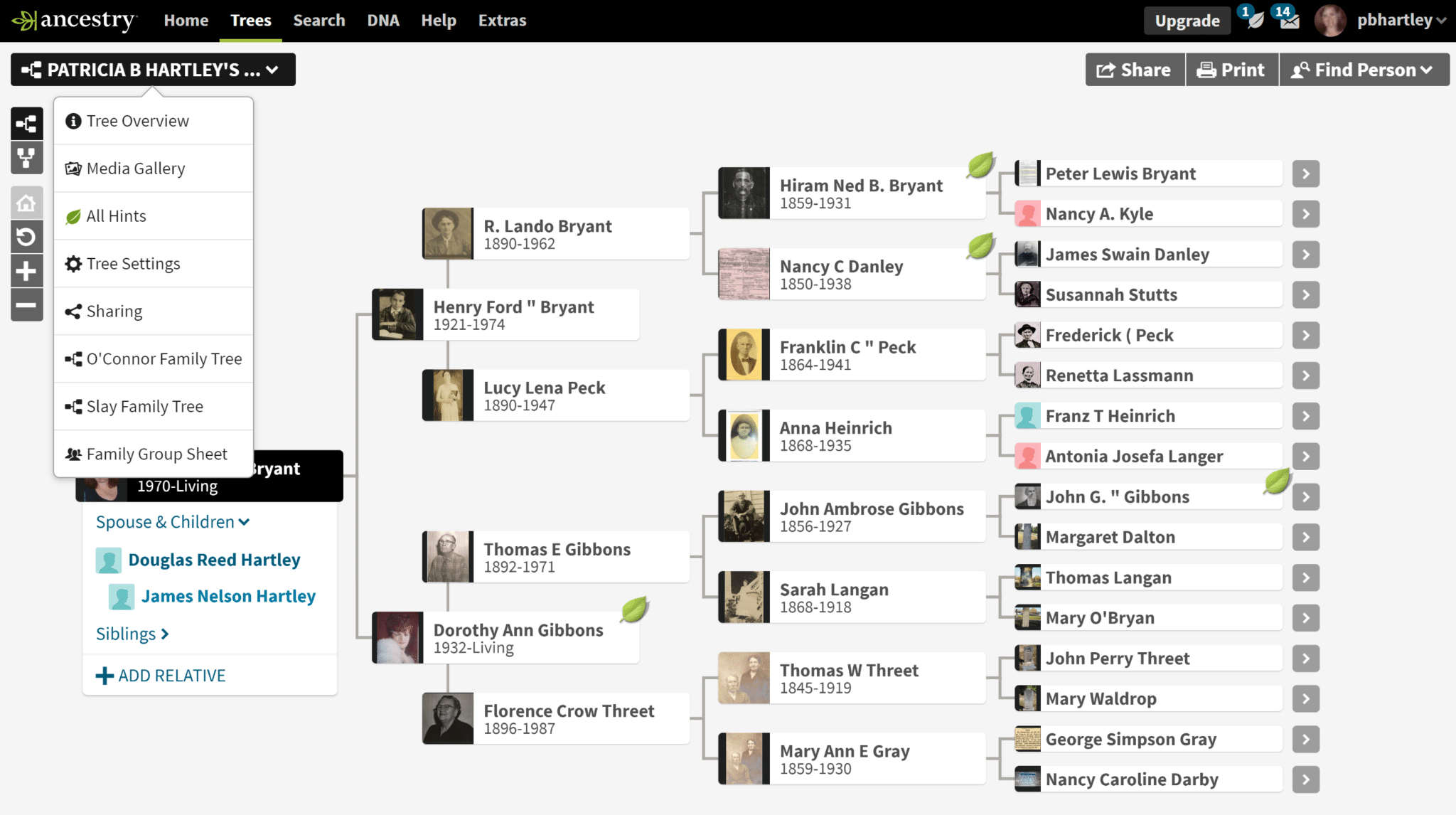 Ancestry Family Tree View