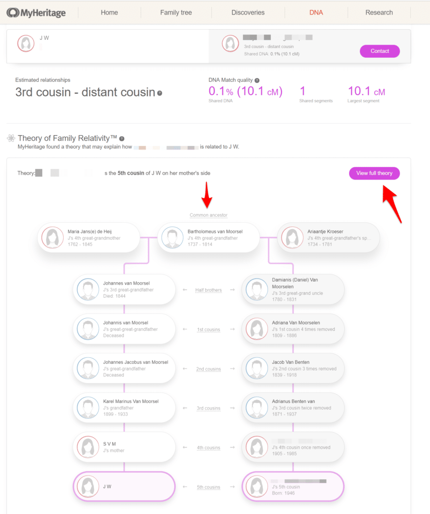 Theory of Family Relativity MyHeritage Example Match Page
