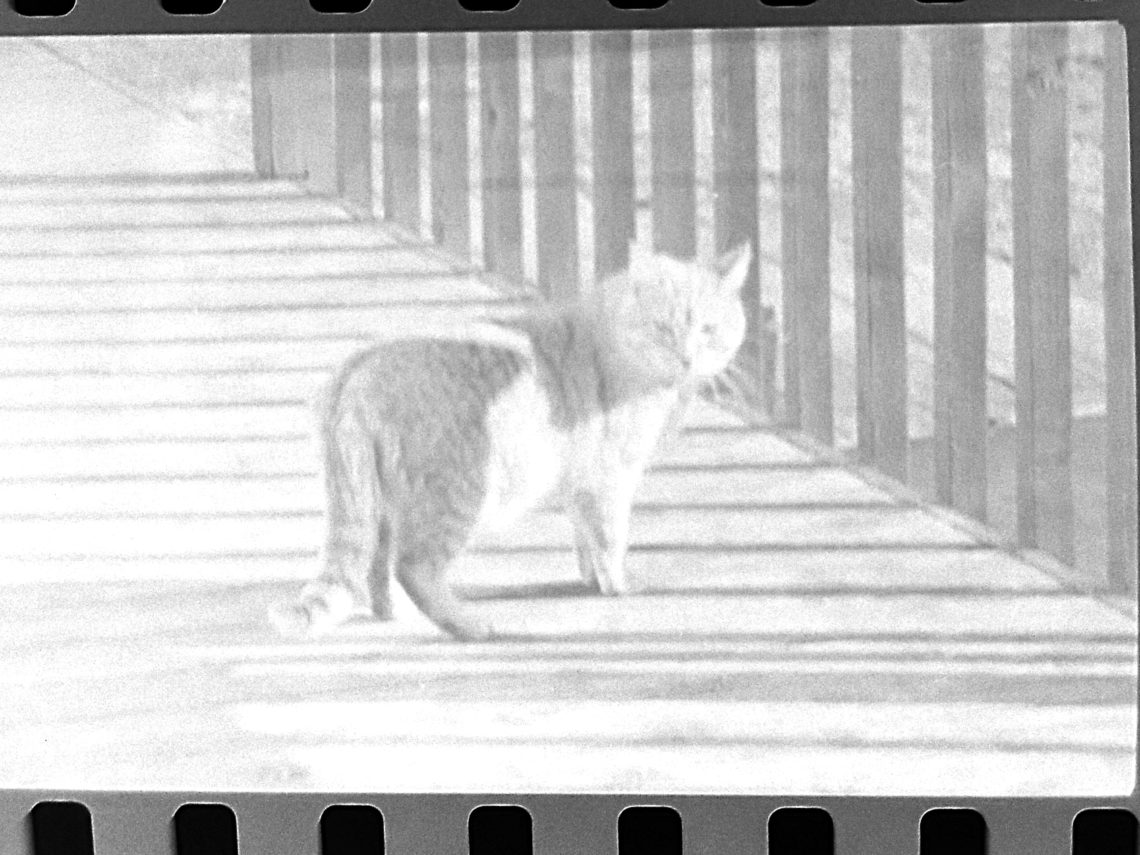 You Can Now Use Your Phone to Turn Old Negatives and Slides Into Photos