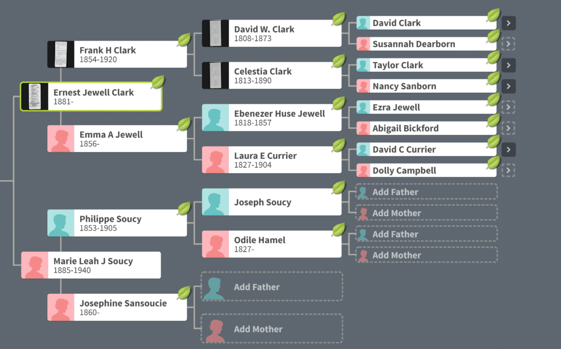 How To Build A Family Tree And Find Your Ancestors   Family Tree 1140x709 