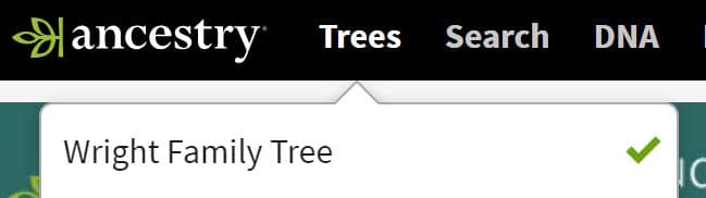 Printing an Ancestry Family Tree 1