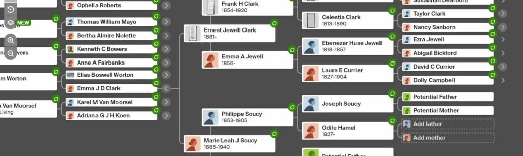 Ancestry Tree Public or Private