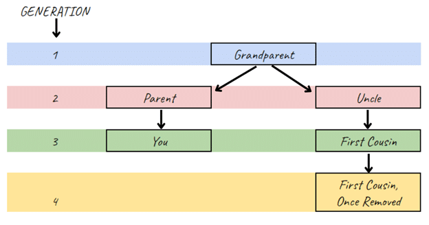 First cousin once removed chart