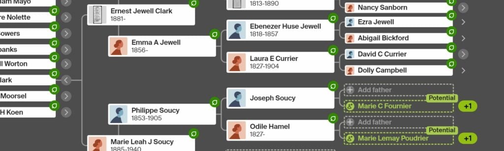 Ancestry Discount - Family Tree